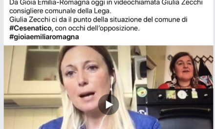 Videochiamata al consigliere comunale Giulia Zecchi del 29/04/ 2020