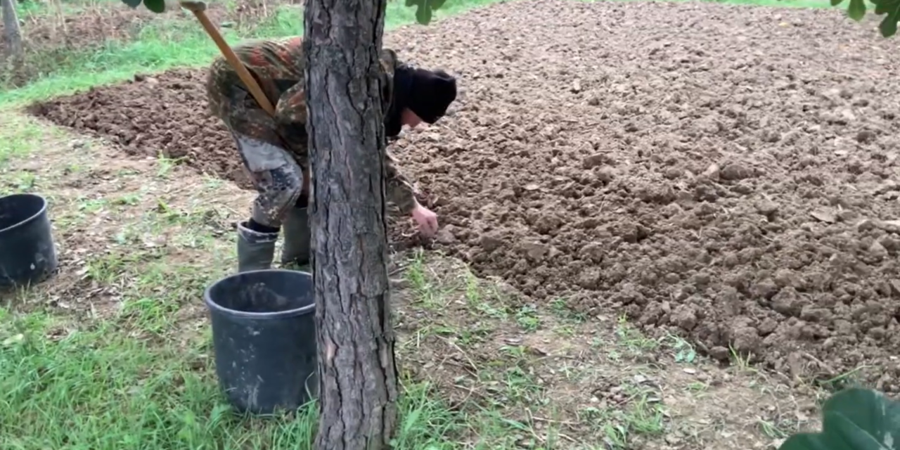 Dal bosco dell’Imperatore Pierino Brunelli, l’evolversi dell’orto