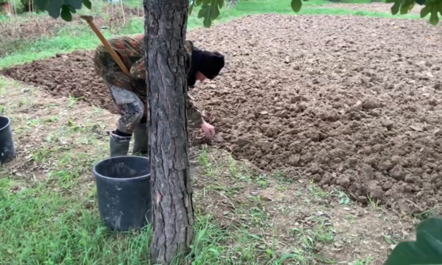 Dal bosco dell’Imperatore Pierino Brunelli, l’evolversi dell’orto